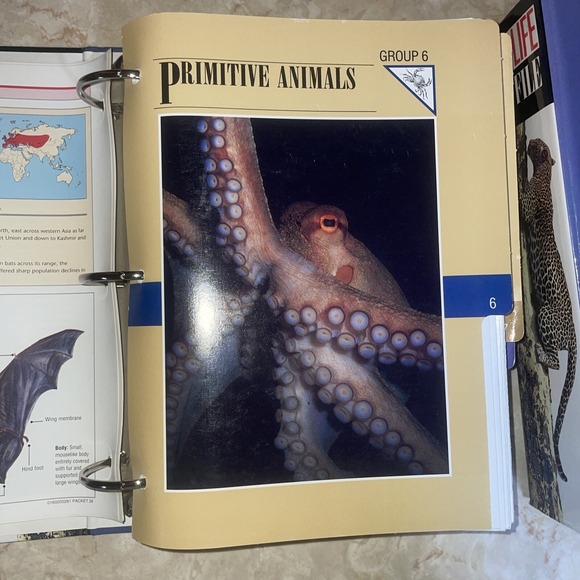 wildlife fact file Sections 6-11, Roughly 350 Cards - Picture 7 of 15